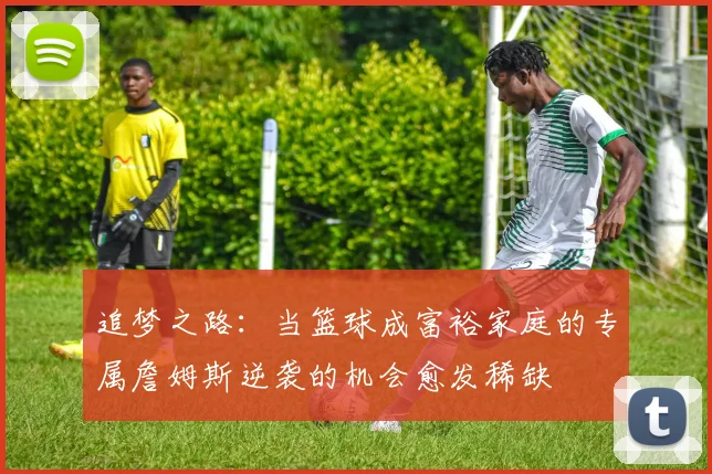 追梦之路：当篮球成富裕家庭的专属詹姆斯逆袭的机会愈发稀缺