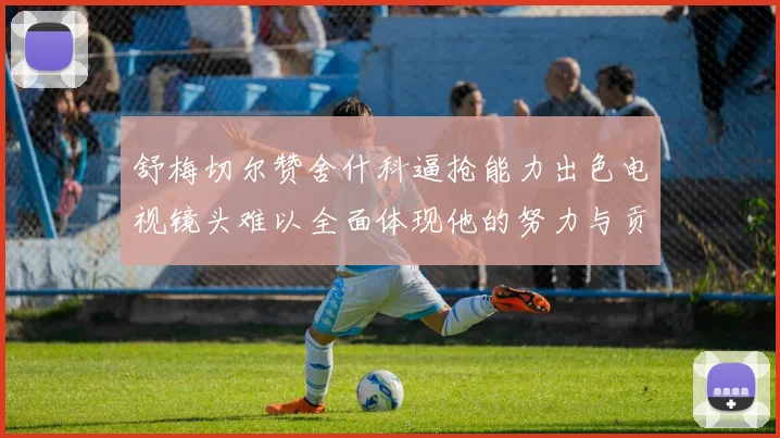 舒梅切尔赞舍什科逼抢能力出色电视镜头难以全面体现他的努力与贡献